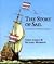 The Story of Sail: Illustrated With 1000 Scale Drawings