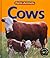 Cows