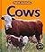 Cows by Rachel Bell