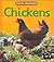 Chickens by Rachel Bell