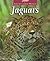 Jaguars (The Untamed World)