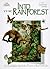 Into the Rainforest: One Book Makes Hundreds of Pictures of Rainforest Life (The Ecosystems Xplorer)