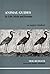 Animal Guides in Life, Myth and Dreams by Neil Russack