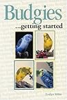 Budgies: Getting ...