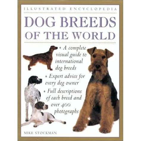 every terrier breed