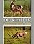 Deer and Elk