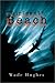 Thirteenth Beach by Wade Hughes