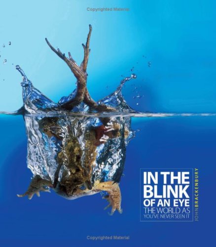 In the Blink of an Eye: The World as You've Never Seen It (Hardcover)