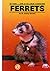 Ferrets