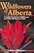Wildflowers of Alberta: A Guide to Common Wildflowers and Other Herbaceous Plants