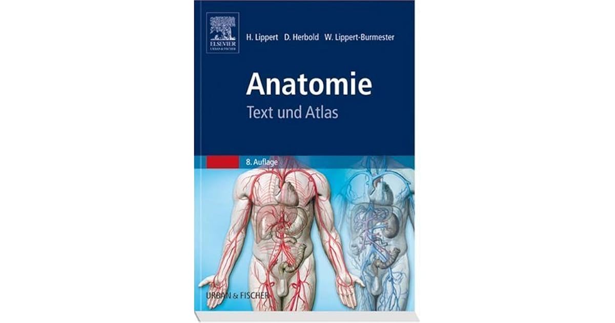 Schädel Anatomie Deutsch Latein Anatomie: Text Und Atlas: Deutsche Und Lateinische Bezeichnungen by