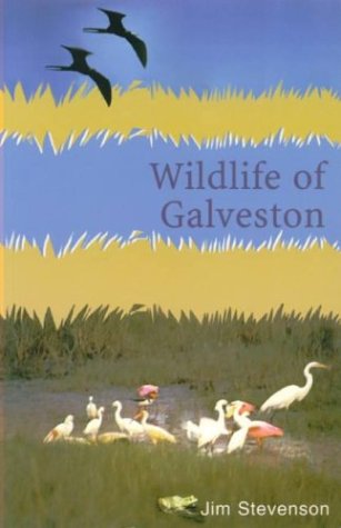 Wildlife of Galveston (Paperback)