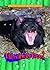 Tasmanian Devils (Animals of the Rain Forest)