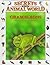 Chameleons: Masters of Disguise (Secrets Animal World)