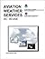 Aviation Weather Services