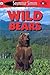 Wild Bears