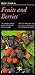 Taylor's Guide to Fruits and Berries (Taylor's Weekend Gardening Guides)