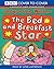 The Bed and Breakfast Star by Jacqueline Wilson