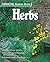 Herbs by Jennifer Greer