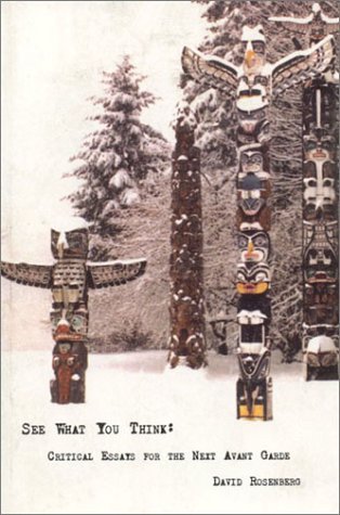 See What You Think: Essays for the Next Avant Garde (Paperback)