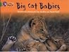 Big Cat Babies: Band 05/Green (Collins Big Cat)