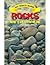 Rocks Are Everywhere (Easy Theme Reader Series)