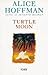 Turtle Moon
