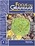 Focus on Grammar, Second Edition (Student Book, High-Intermediate Level)