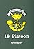 18 Platoon