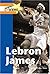 Lebron James by Ann Wallace Sharp