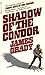 Shadow of the Condor