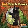Black Bears (Animals That Live in the Forest)