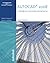 Autocad 2008: A Problem-Solving Approach
