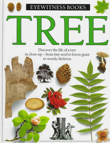 Tree (Hardcover)