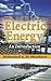 Electric Energy: An Introduction (Power Electronics and Applications Series)