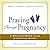Praying Through Pregnancy by Pamela Fierro