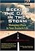 Seeking the Calm in the Storm by Judith M. Bardwick