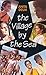 Village By The Sea An Indian Family Story Tie In by Anita Desai