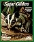 Sugar Gliders by Caroline MacPherson