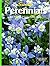 Perennials