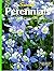 Perennials