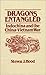 Dragons Entangled: Indochina and the China-Vietnam War