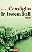 In freiem Fall (Guido Guerrieri, #2)