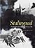 Stalingrad - The Air Battle...