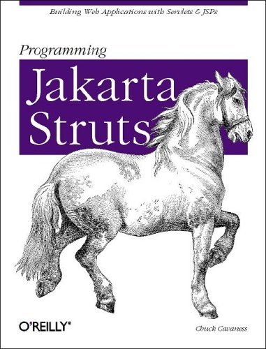 Programming Jakarta Struts (Paperback)