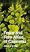Ferns and Fern Allies of California (Volume 16) (California Natural History Guides)
