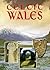 Celtic Wales (Pitkin Guides)