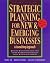 Strategic Planning for New ...