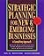 Strategic Planning for New & Emerging Businesses: A Consulting Approach