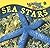 Sea Stars (Marine Life)